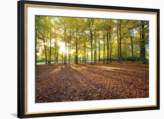 Morning Walk-Joseph Eta-Framed Giclee Print