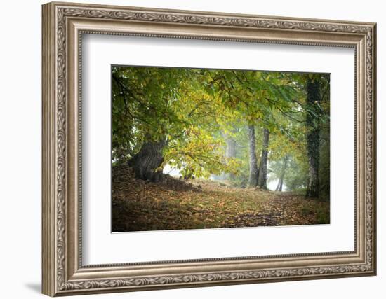 Morning Walk-Philippe Manguin-Framed Photographic Print