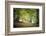 Morning Walk-Philippe Manguin-Framed Photographic Print