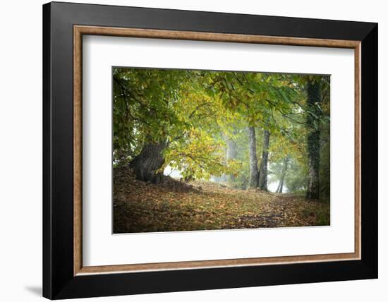 Morning Walk-Philippe Manguin-Framed Photographic Print