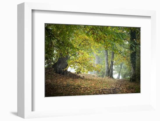 Morning Walk-Philippe Manguin-Framed Photographic Print