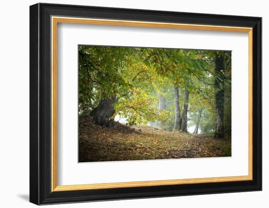 Morning Walk-Philippe Manguin-Framed Photographic Print