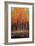 Morning Whisper-Peter Colbert-Framed Giclee Print