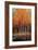 Morning Whisper-Peter Colbert-Framed Giclee Print