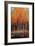 Morning Whisper-Peter Colbert-Framed Giclee Print