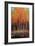 Morning Whisper-Peter Colbert-Framed Giclee Print