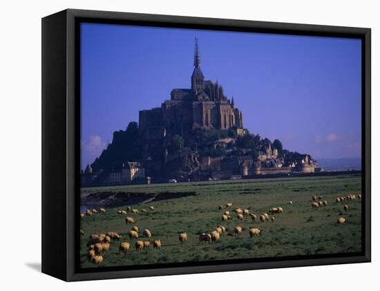 Morning with Flock of Sheep, Normandy-Walter Bibikow-Framed Premier Image Canvas