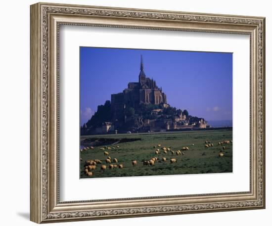 Morning with Flock of Sheep, Normandy-Walter Bibikow-Framed Photographic Print