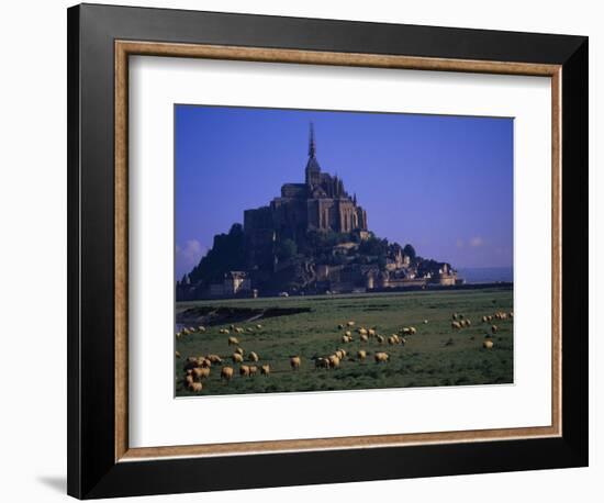 Morning with Flock of Sheep, Normandy-Walter Bibikow-Framed Photographic Print