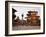 Morning Worship, Durbar Square, Unesco World Heritage Site, Patan, Kathmandu, Nepal-Don Smith-Framed Photographic Print