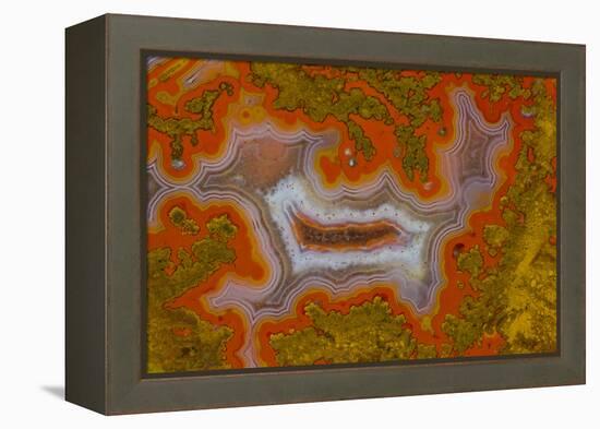 Moroccan Agate-Darrell Gulin-Framed Premier Image Canvas