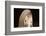 Moroccan arch detail-Natalie Tepper-Framed Photo