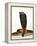 Moroccan Cobra-Martin Harvey-Framed Premier Image Canvas