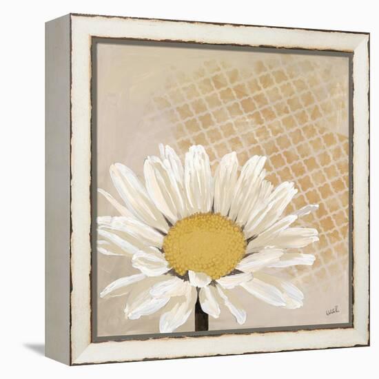 Moroccan Daisy 1-Walela R.-Framed Stretched Canvas