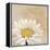 Moroccan Daisy 1-Walela R.-Framed Stretched Canvas