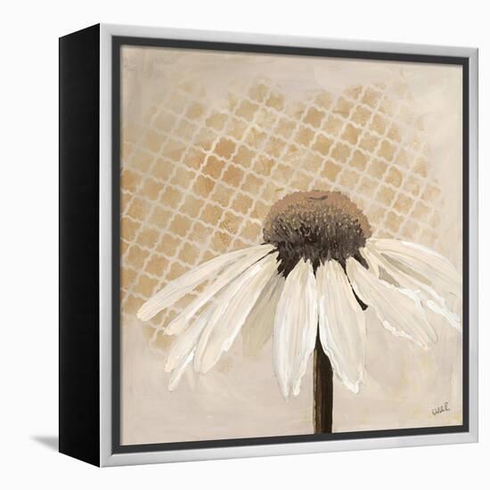Moroccan Daisy 2-Walela R.-Framed Stretched Canvas