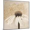 Moroccan Daisy 2-Walela R.-Mounted Art Print