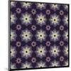 Moroccan Star Flower (Purple)-Susan Clickner-Mounted Giclee Print