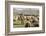 Morocco,. A man tends his flock of sheep in the High Atlas mountains.-Brenda Tharp-Framed Photographic Print