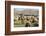 Morocco,. A man tends his flock of sheep in the High Atlas mountains.-Brenda Tharp-Framed Photographic Print