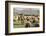 Morocco,. A man tends his flock of sheep in the High Atlas mountains.-Brenda Tharp-Framed Photographic Print