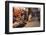 Morocco. An elderly man walks past tourist shops along a street in the blue city of Chefchaouen.-Brenda Tharp-Framed Photographic Print