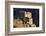 Morocco, Anti-Atlas Mountains, Nr. Bouizakarne-Amar Grover-Framed Photographic Print