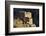 Morocco, Anti-Atlas Mountains, Nr. Bouizakarne-Amar Grover-Framed Photographic Print