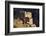 Morocco, Anti-Atlas Mountains, Nr. Bouizakarne-Amar Grover-Framed Photographic Print