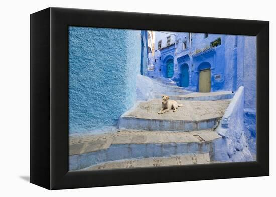 Morocco. Blue Narrow Streets and Neighborhooda of Chaouen-Emily Wilson-Framed Premier Image Canvas