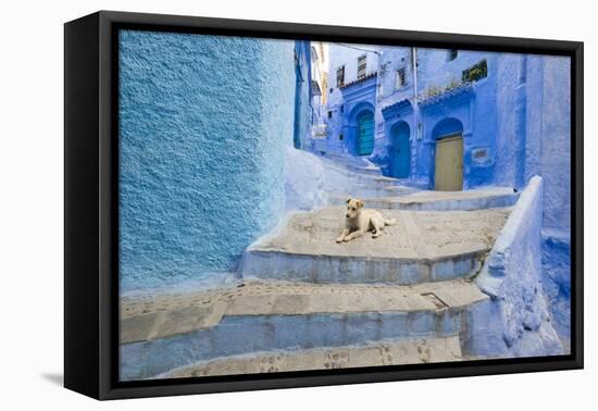 Morocco. Blue Narrow Streets and Neighborhooda of Chaouen-Emily Wilson-Framed Premier Image Canvas