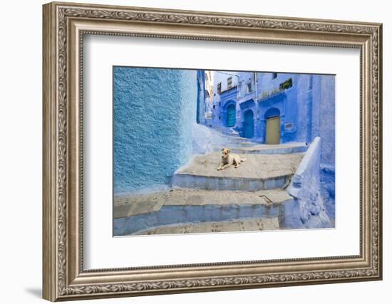 Morocco. Blue Narrow Streets and Neighborhooda of Chaouen-Emily Wilson-Framed Photographic Print