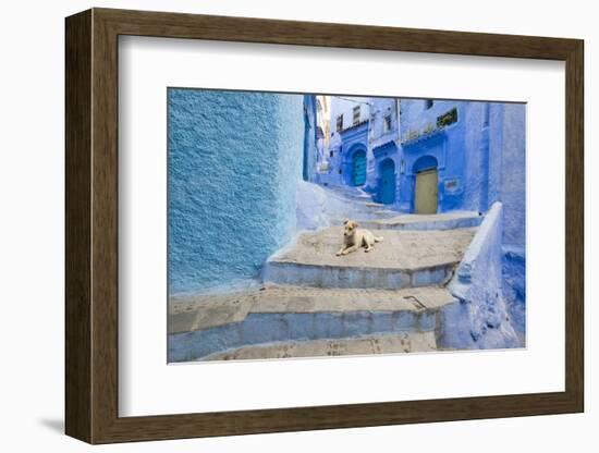 Morocco. Blue Narrow Streets and Neighborhooda of Chaouen-Emily Wilson-Framed Photographic Print