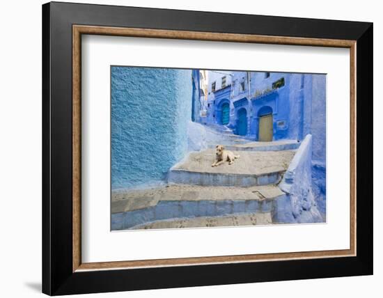 Morocco. Blue Narrow Streets and Neighborhooda of Chaouen-Emily Wilson-Framed Photographic Print