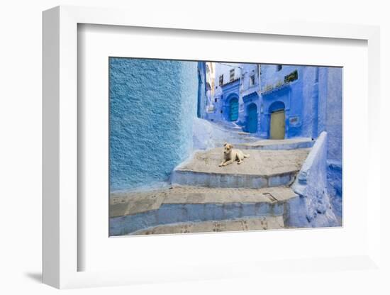 Morocco. Blue Narrow Streets and Neighborhooda of Chaouen-Emily Wilson-Framed Photographic Print