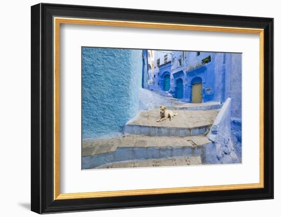 Morocco. Blue Narrow Streets and Neighborhooda of Chaouen-Emily Wilson-Framed Photographic Print