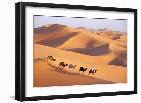 Morocco Camel Train, Berber with Dromedary Camels-null-Framed Photographic Print