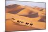 Morocco Camel Train, Berber with Dromedary Camels-null-Mounted Photographic Print