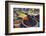 Morocco, Casablanca. Moroccan Olives-Emily Wilson-Framed Photographic Print