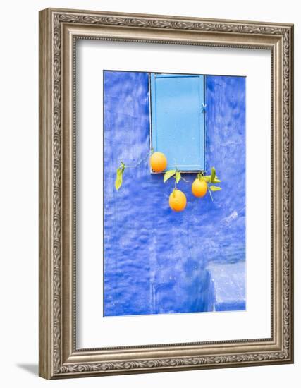 Morocco, Chaouen. Juice Seller Display of Oranges-Emily Wilson-Framed Photographic Print