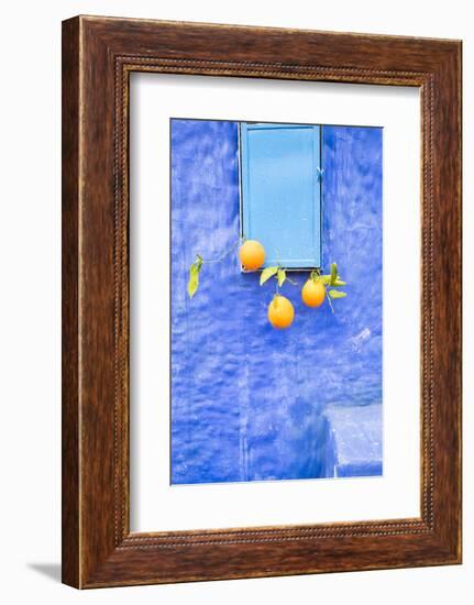 Morocco, Chaouen. Juice Seller Display of Oranges-Emily Wilson-Framed Photographic Print