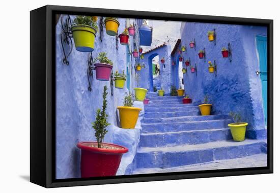 Morocco, Chaouen. Plantings in Colorful Pots Line the Narrow Corridors-Emily Wilson-Framed Premier Image Canvas