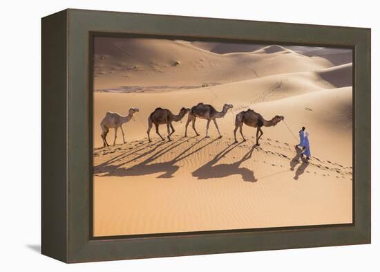 Morocco, Erg Chegaga Is a Saharan Sand Dune-Emily Wilson-Framed Premier Image Canvas