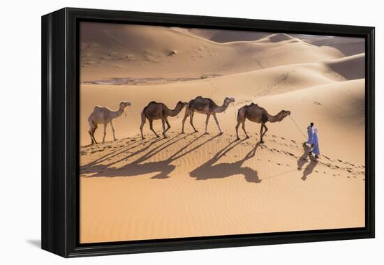 Morocco, Erg Chegaga Is a Saharan Sand Dune-Emily Wilson-Framed Premier Image Canvas