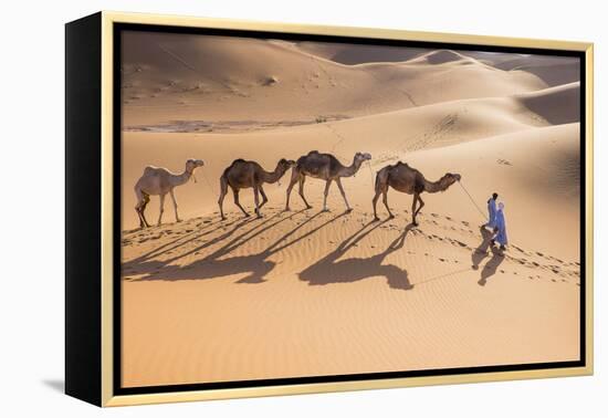 Morocco, Erg Chegaga Is a Saharan Sand Dune-Emily Wilson-Framed Premier Image Canvas