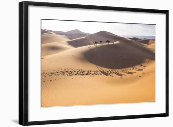 Morocco, Erg Chegaga Is a Saharan Sand Dune-Emily Wilson-Framed Photographic Print