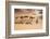 Morocco, Erg Chegaga Is a Saharan Sand Dune-Emily Wilson-Framed Photographic Print