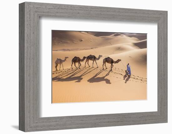 Morocco, Erg Chegaga Is a Saharan Sand Dune-Emily Wilson-Framed Photographic Print