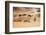 Morocco, Erg Chegaga Is a Saharan Sand Dune-Emily Wilson-Framed Photographic Print