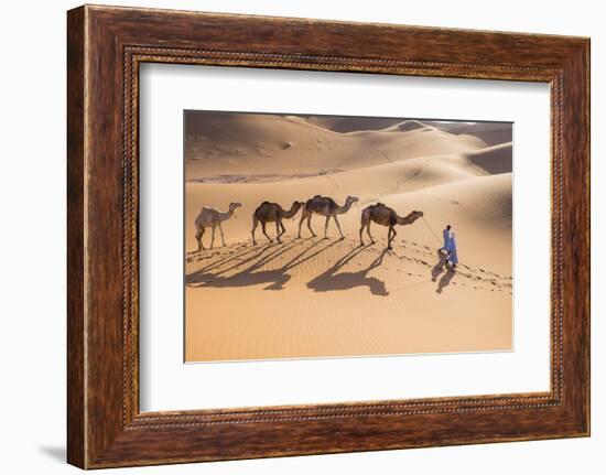 Morocco, Erg Chegaga Is a Saharan Sand Dune-Emily Wilson-Framed Photographic Print